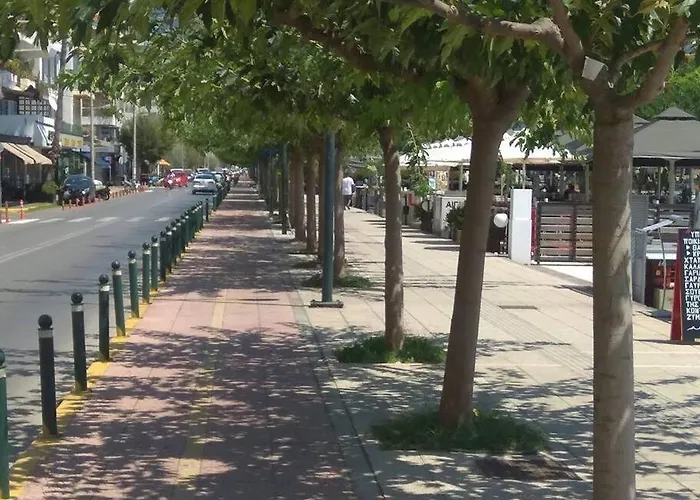 Ammos, By Miorah Selections *